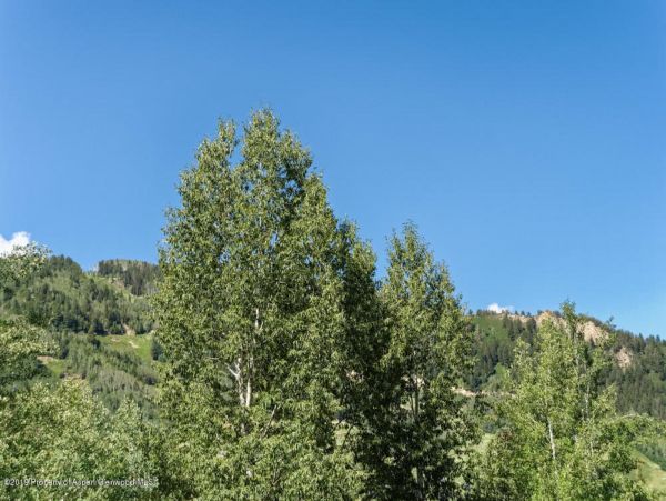 Aspen Home 987547