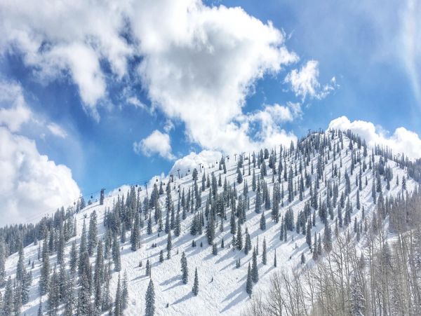 Aspen Home 987547