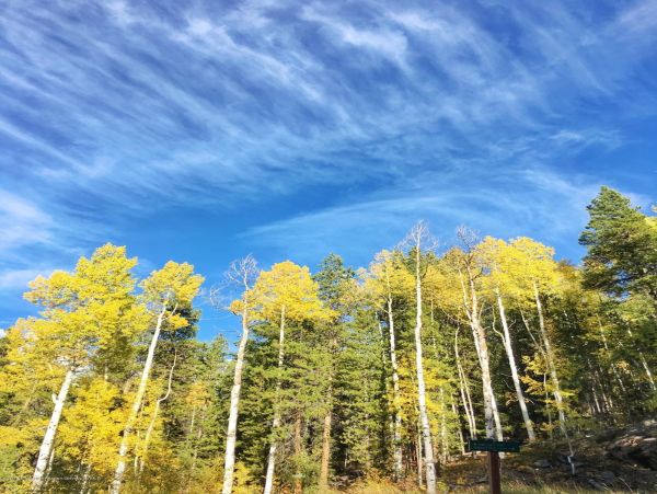 Aspen Home 987547