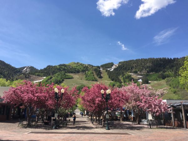 Aspen Home 987547