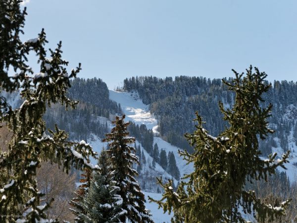 Aspen Home 987552
