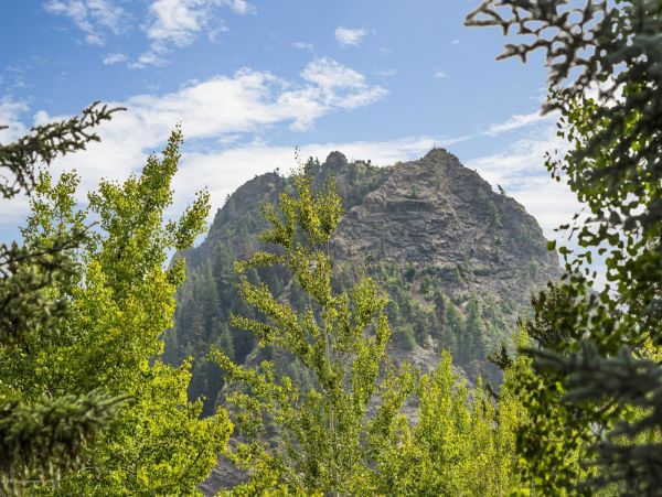 Aspen Home 987584