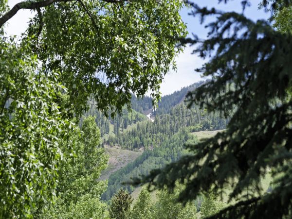 Aspen Home 987618