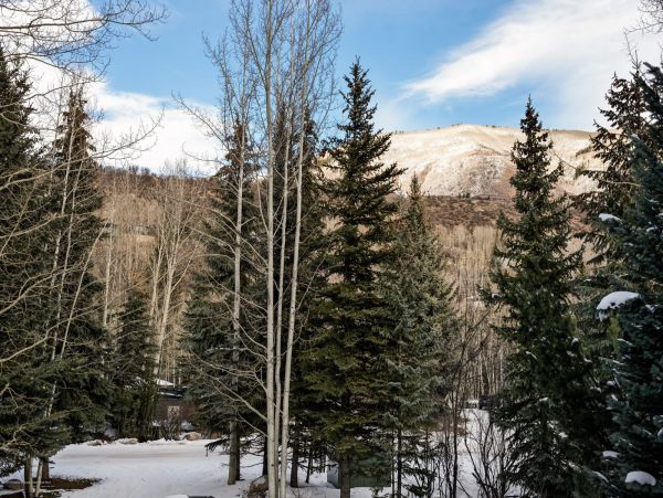 Aspen Home 987623