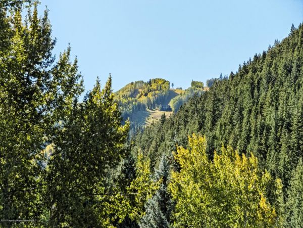 Aspen Home 987631