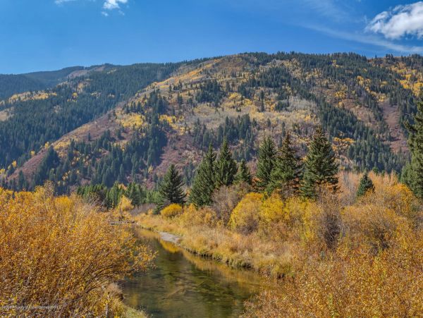 Aspen Home 987648