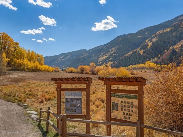 Aspen Home 987648