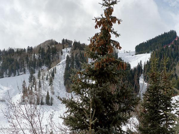 Aspen Home 987655