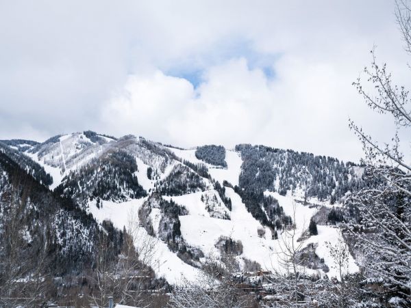 Aspen Home 987665
