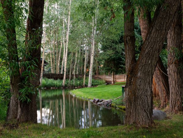 Aspen Home 987671