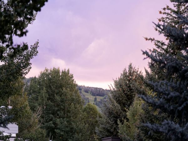 Aspen Home 987671