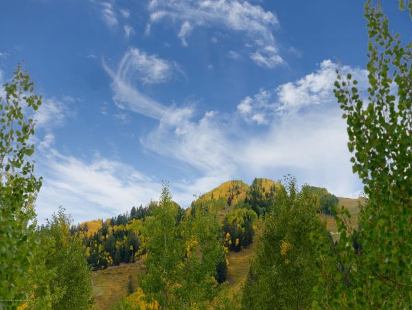 Aspen Home 987672