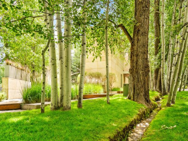 Aspen Home 987678