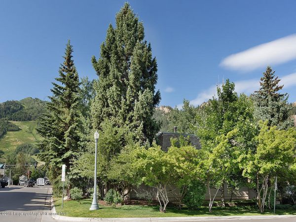 Aspen Home 987682