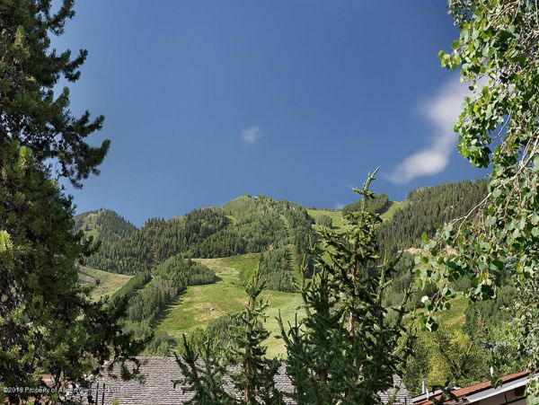 Aspen Home 987682