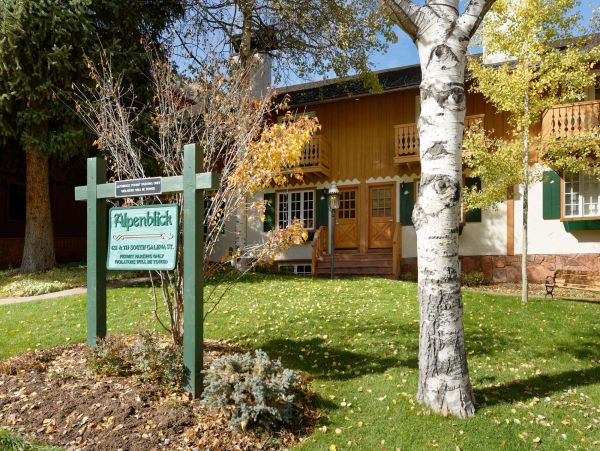 Aspen Home 987685