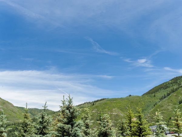 Aspen Home 987687