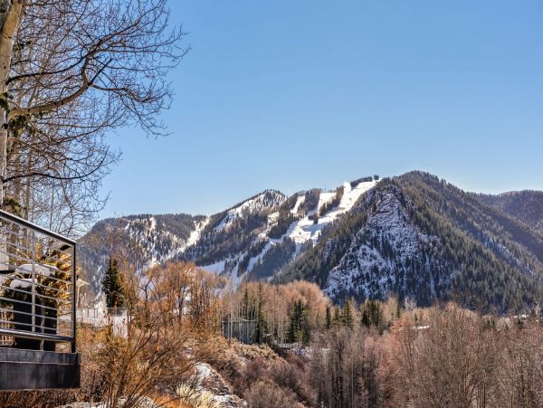 Aspen Home 987696
