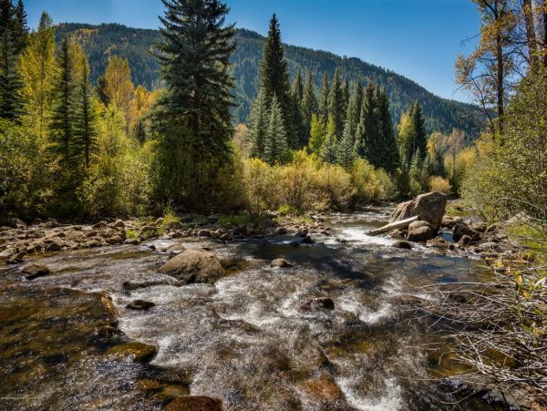 Aspen Home 987713