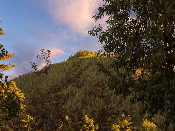 Aspen Home 987726