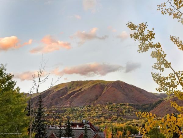 Aspen Home 987727