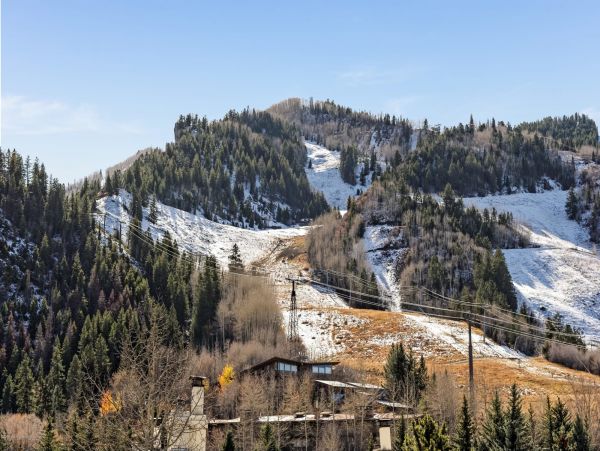 Aspen Home 987731