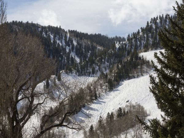 Aspen Home 987736