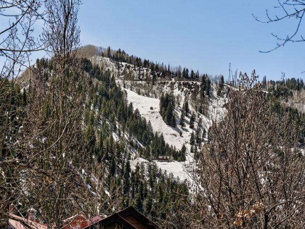 Aspen Home 987743
