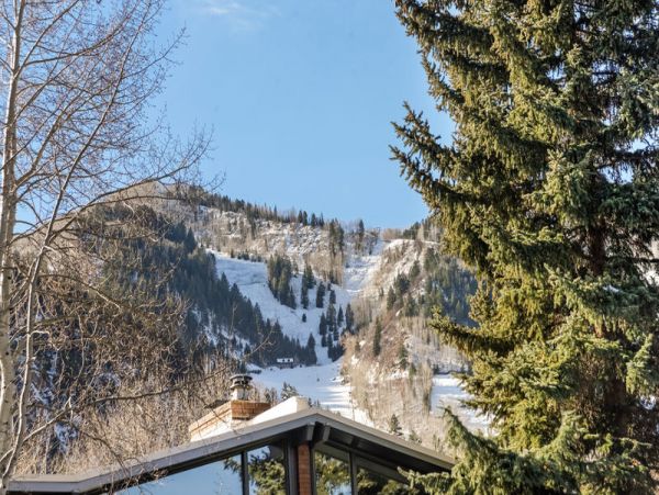 Aspen Home 987783