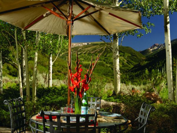 Aspen Home 987806
