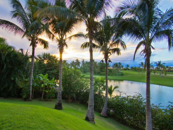 Puerto Vallarta Punta Mita Home 987885