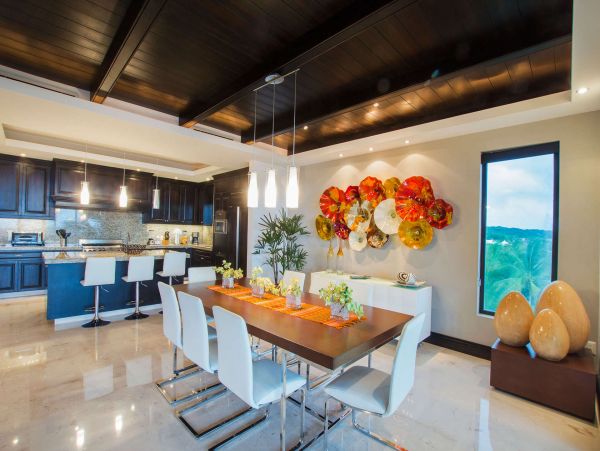 Puerto Vallarta Punta Mita Home 987921