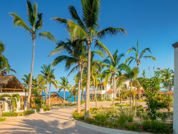 Los Cabos Home 988040