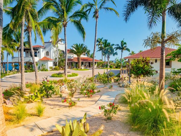 Los Cabos Home 988040