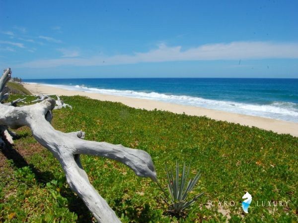 Los Cabos Home 988095