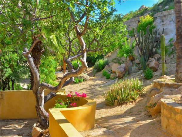 Los Cabos Home 988115