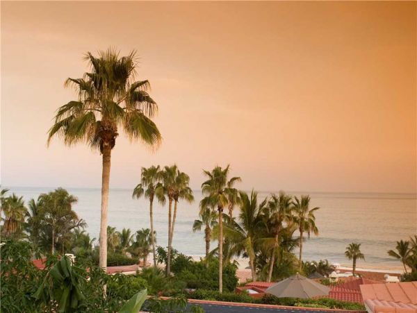 Los Cabos Home 988117