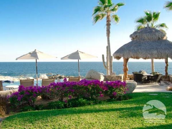 Los Cabos Home 988148