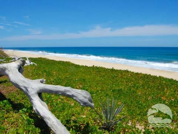 Los Cabos Home 988159