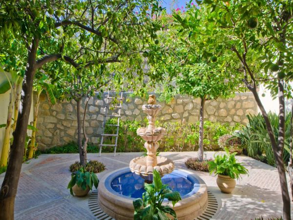 Los Cabos Home 988207