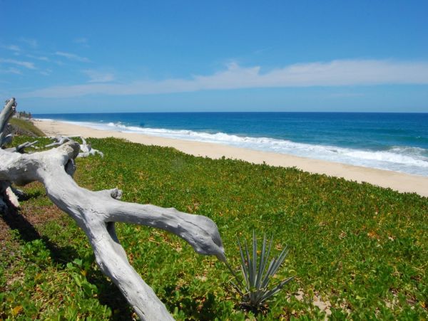 Los Cabos Home 988210