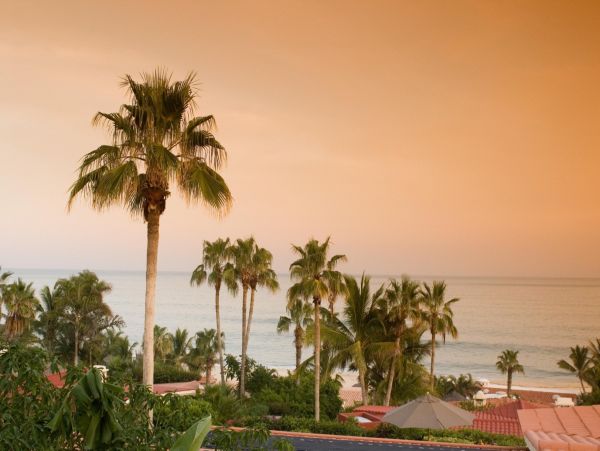 Los Cabos Home 988228