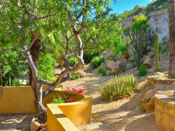 Los Cabos Home 988235