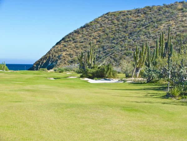 Los Cabos Home 988236