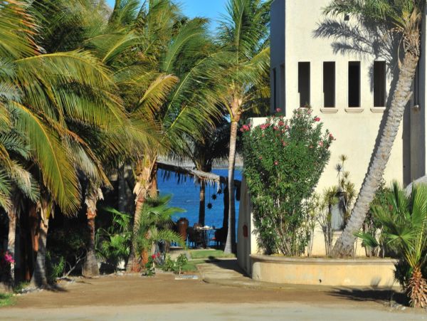 Los Cabos Home 988258