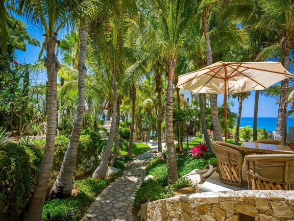 Los Cabos Home 988391