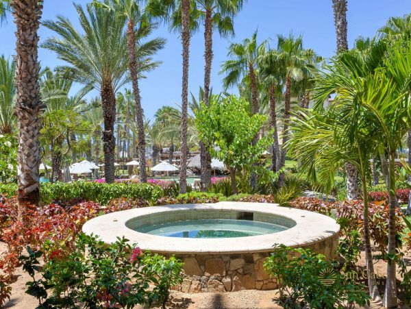 Los Cabos Home 988501