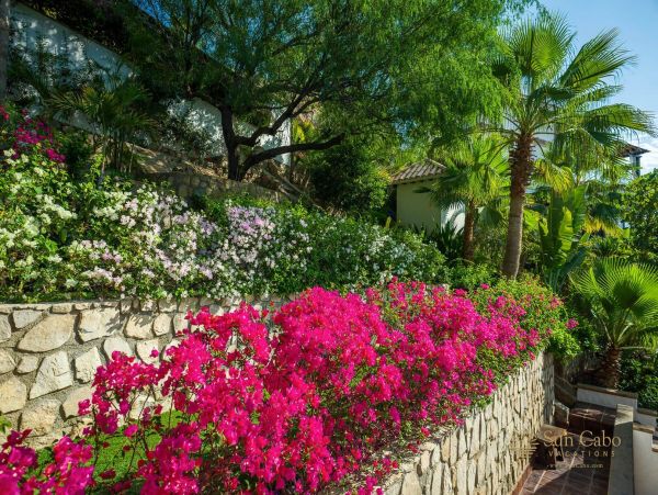 Los Cabos Home 988511