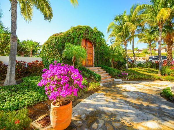 Los Cabos Home 988558