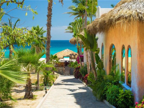 Los Cabos Home 988565